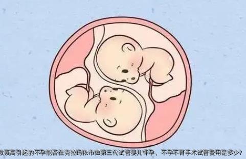 雌激素高引起的不孕能否在克拉玛依市做第三代试管婴儿怀孕，不孕不育手术试管费用是多少?