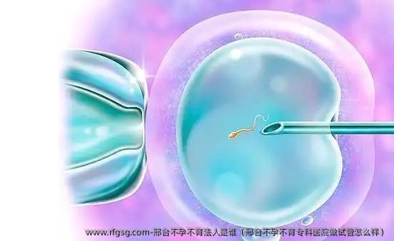 邢台不孕不育法人是谁（邢台不孕不育专科医院做试管怎么样）
