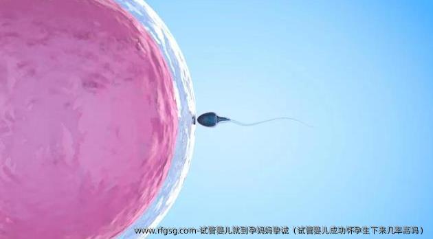 试管婴儿就到孕妈妈挚诚（试管婴儿成功怀孕生下来几率高吗）