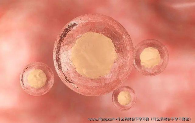 什么药材会不孕不育（什么药材会不孕不育呢）