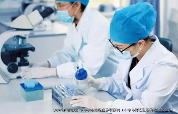 不孕不育吃红参有效吗（不孕不育吃红参有效吗怎么吃）
