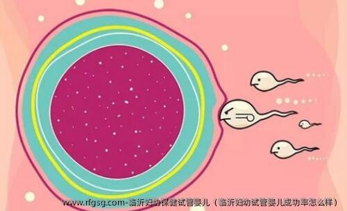 临沂妇幼保健试管婴儿（临沂妇幼试管婴儿成功率怎么样）