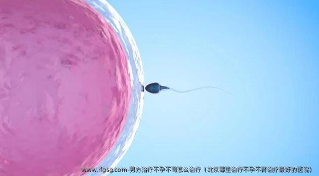男方治疗不孕不育怎么治疗（北京哪里治疗不孕不育治疗最好的医院）
