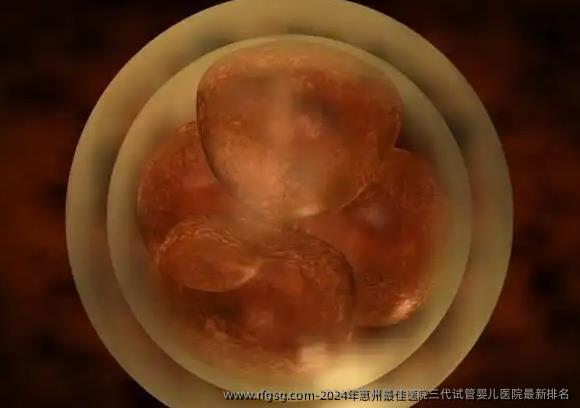 2024年惠州最佳医院三代试管婴儿医院最新排名