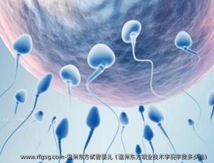 温州东方试管婴儿（温州东方职业技术学院学费多少钱）