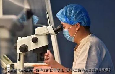 梅博士的试管婴儿（崩坏三梅博士试管婴儿是谁）