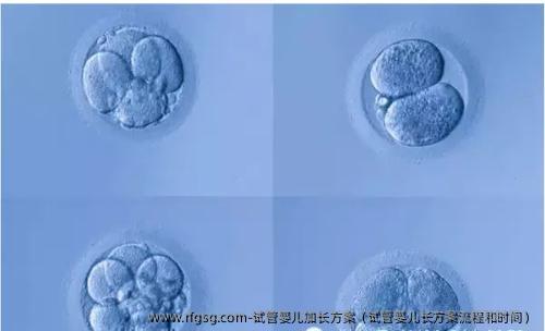 试管婴儿加长方案（试管婴儿长方案流程和时间）