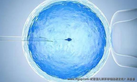 试管婴儿鲜肧移植暗藏玄机？来看看