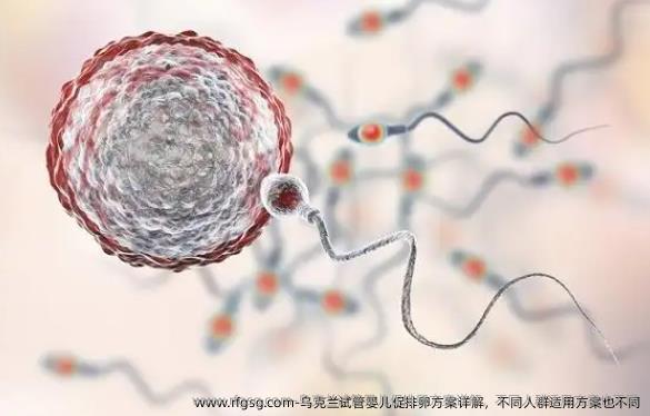 乌克兰试管婴儿促排卵方案详解，不同人群适用方案也不同