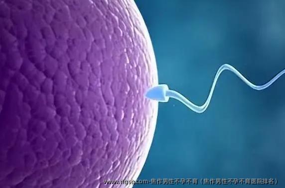 焦作男性不孕不育（焦作男性不孕不育医院排名）