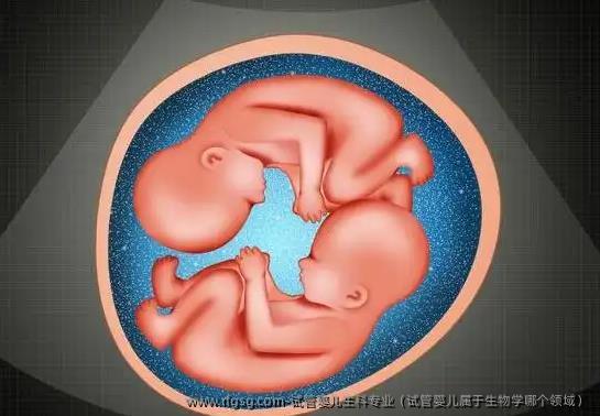 试管婴儿生科专业（试管婴儿属于生物学哪个领域）