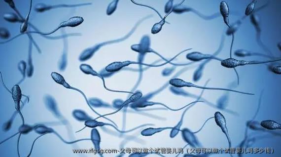 父母可以做个试管婴儿吗（父母可以做个试管婴儿吗多少钱）