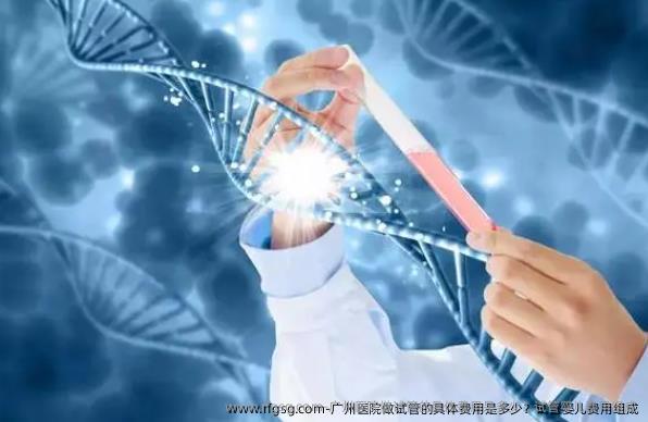 广州医院做试管的具体费用是多少？试管婴儿费用组成