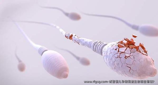 试管婴儿孕期需要注意哪些事项？
