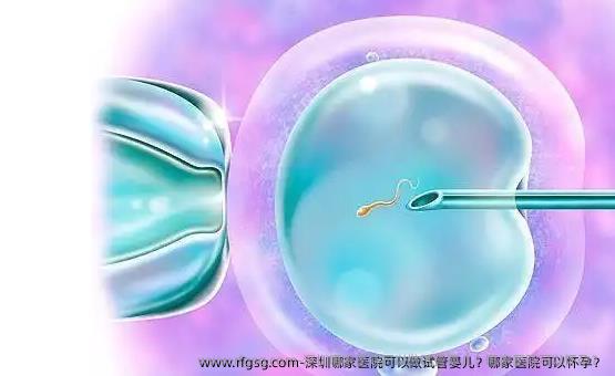 深圳哪家医院可以做试管婴儿？哪家医院可以怀孕？