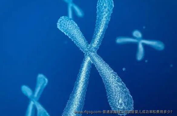 普通家庭做三代试管婴儿成功率和费用多少？