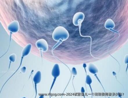 2024试管婴儿一个周期费用要多少钱？