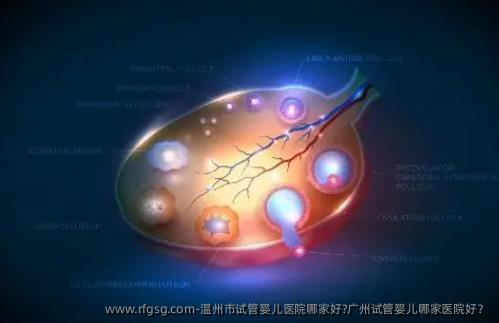 温州市试管婴儿医院哪家好?广州试管婴儿哪家医院好？