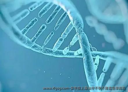 女性在上海治疗不孕不育成功率高吗