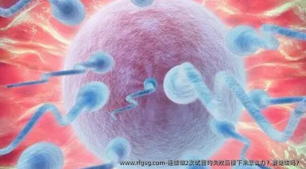 连续做2次试管均失败后接下来怎么办？要继续吗？