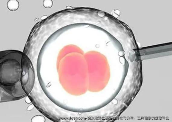 哈尔滨第二医院试管挂号分享，三种预约方式要早知