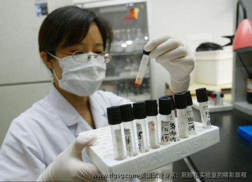 美国试管专家：胚胎在实验室的精彩旅程