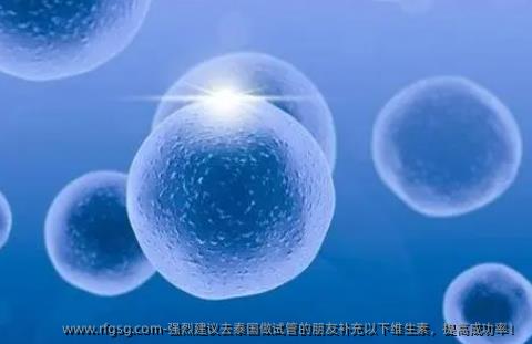 强烈建议去泰国做试管的朋友补充以下维生素，提高成功率！