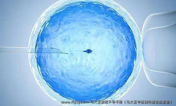 马大正调理不孕不育（马大正中医妇科医论医案集）