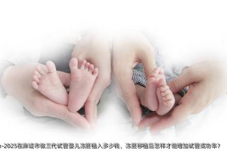 2025在麻城市做三代试管婴儿冻胚植入多少钱，冻胚移植后怎样才能增加试管成功率？