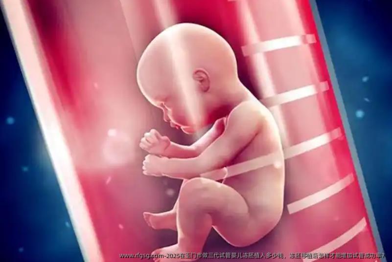 2025在玉门市做三代试管婴儿冻胚植入多少钱，冻胚移植后怎样才能增加试管成功率？