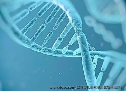 试管婴儿生双胞胎成功率高吗？
