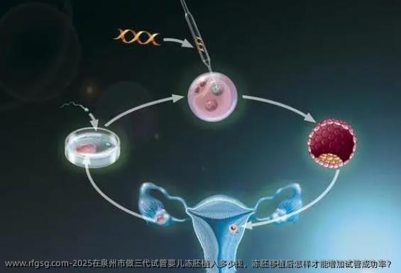 2025在泉州市做三代试管婴儿冻胚植入多少钱，冻胚移植后怎样才能增加试管成功率？