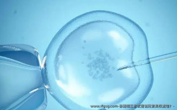 泰国哪三家试管医院更具权威性？-