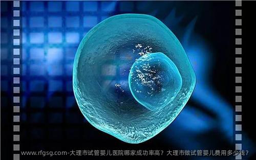 大理市试管婴儿医院哪家成功率高？大理市做试管婴儿费用多少钱？