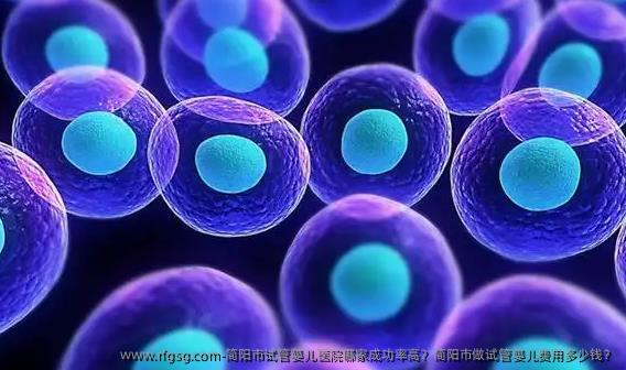简阳市试管婴儿医院哪家成功率高？简阳市做试管婴儿费用多少钱？