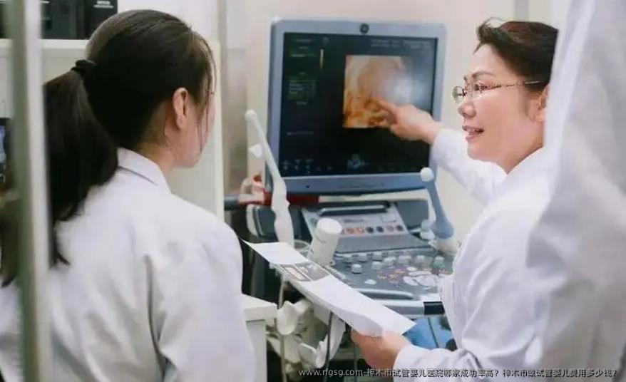 神木市试管婴儿医院哪家成功率高？神木市做试管婴儿费用多少钱？