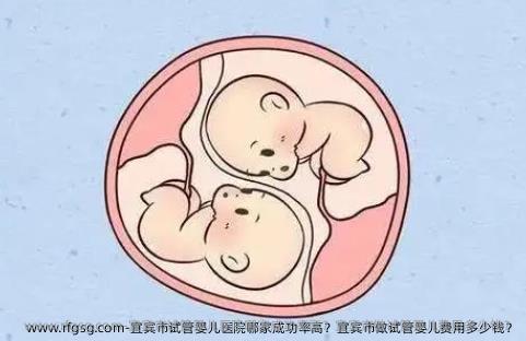宜宾市试管婴儿医院哪家成功率高？宜宾市做试管婴儿费用多少钱？