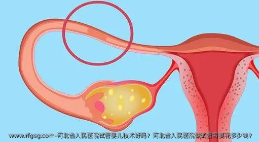 河北省人民医院试管婴儿技术好吗？河北省人民医院做试管需要花多少钱？
