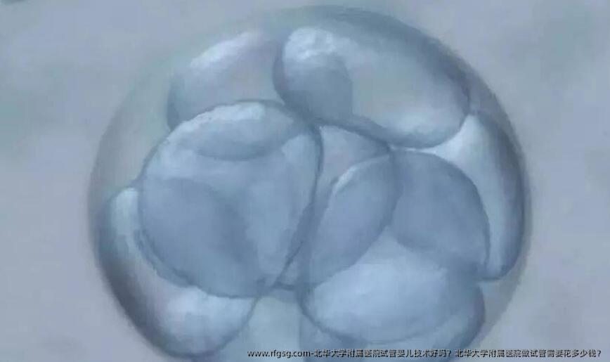 北华大学附属医院试管婴儿技术好吗？北华大学附属医院做试管需要花多少钱？