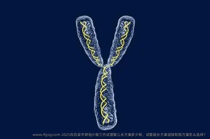 2025在吕梁市卵泡少做三代试管婴儿长方案多少钱，试管超长方案促排和短方案怎么选择？