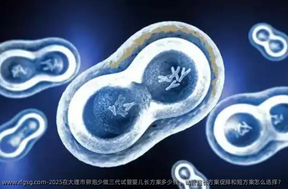 2025在大理市卵泡少做三代试管婴儿长方案多少钱，试管超长方案促排和短方案怎么选择？