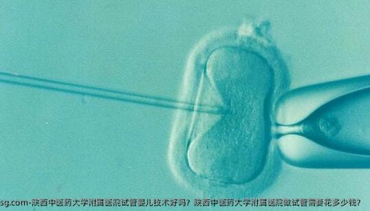 陕西中医药大学附属医院试管婴儿技术好吗？陕西中医药大学附属医院做试管需要花多少钱？