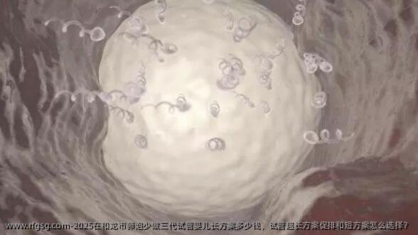 2025在和龙市卵泡少做三代试管婴儿长方案多少钱，试管超长方案促排和短方案怎么选择？