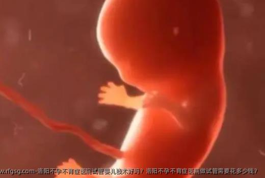 洛阳不孕不育症医院试管婴儿技术好吗？洛阳不孕不育症医院做试管需要花多少钱？