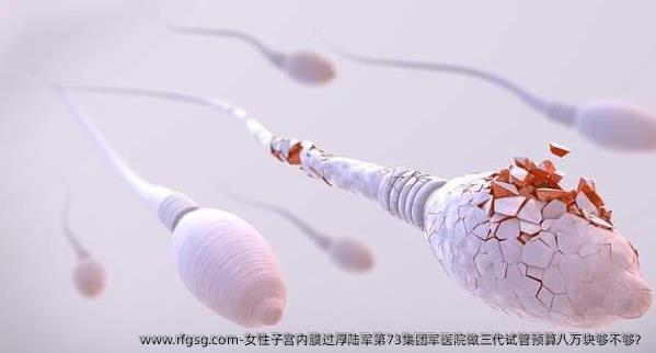 女性子宫内膜过厚陆军第73集团军医院做三代试管预算八万块够不够？