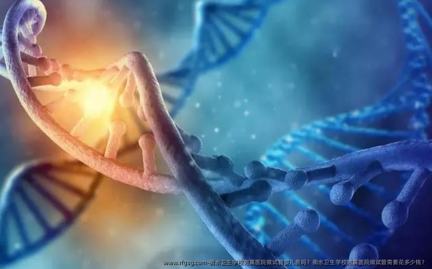 衡水卫生学校附属医院做试管婴儿贵吗？衡水卫生学校附属医院做试管需要花多少钱？