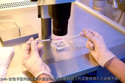 女性子宫内膜过厚宁夏医科大学总医院做三代试管预算八万块够不够？