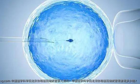 中国医学科学院北京协和医院做试管婴儿贵吗？中国医学科学院北京协和医院做试管需要花多少钱？