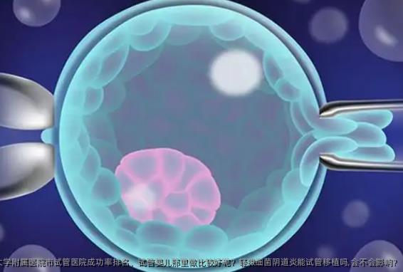 广东医科大学附属医院市试管医院成功率排名，试管婴儿那里做比较好呢？轻微细菌阴道炎能试管移植吗,会不会影响?