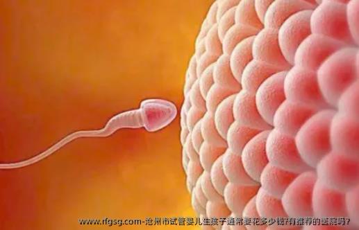 沧州市试管婴儿生孩子通常要花多少钱?有推荐的医院吗？